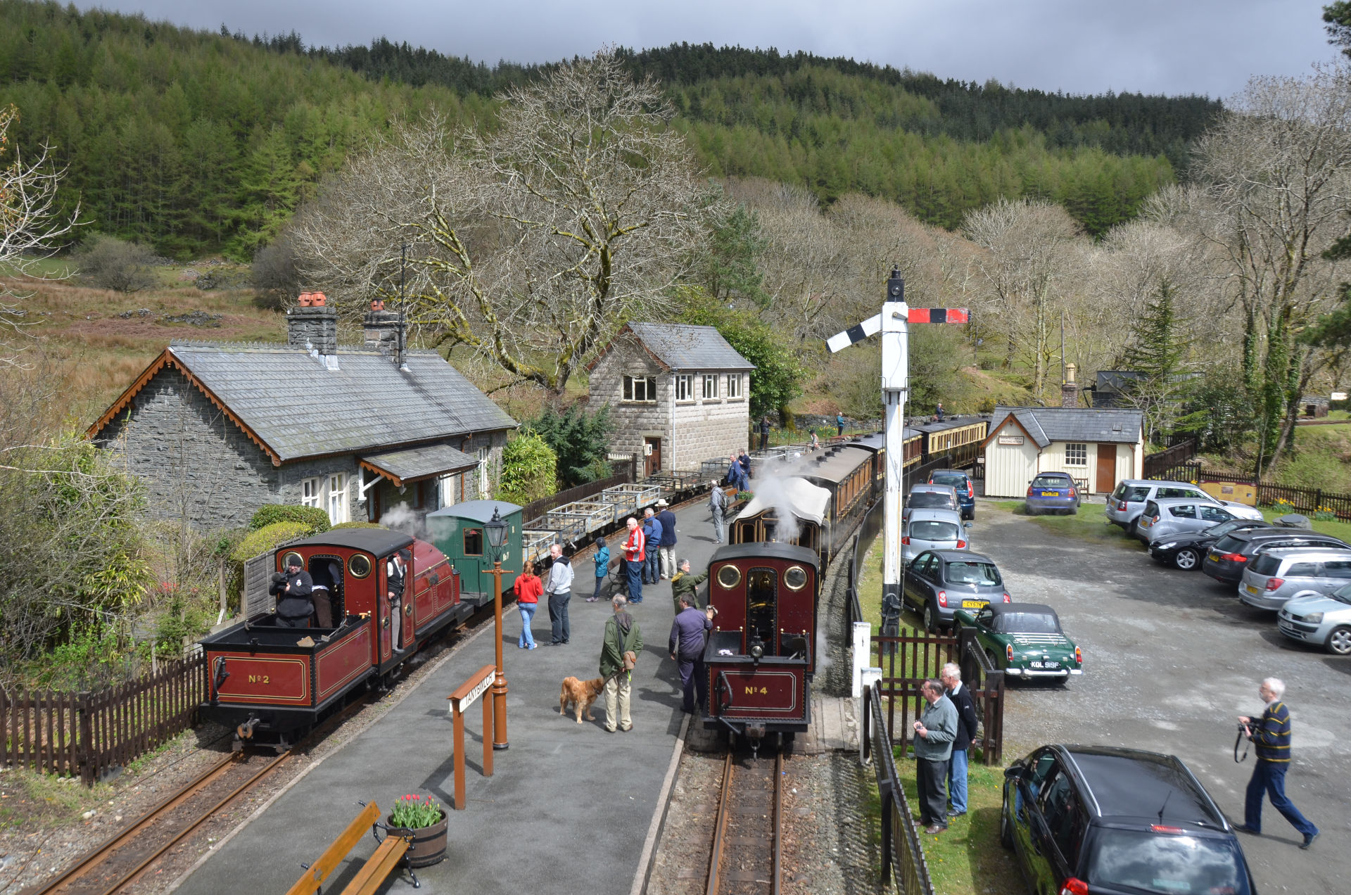 Prince and Palmerston Tan y Bwlch