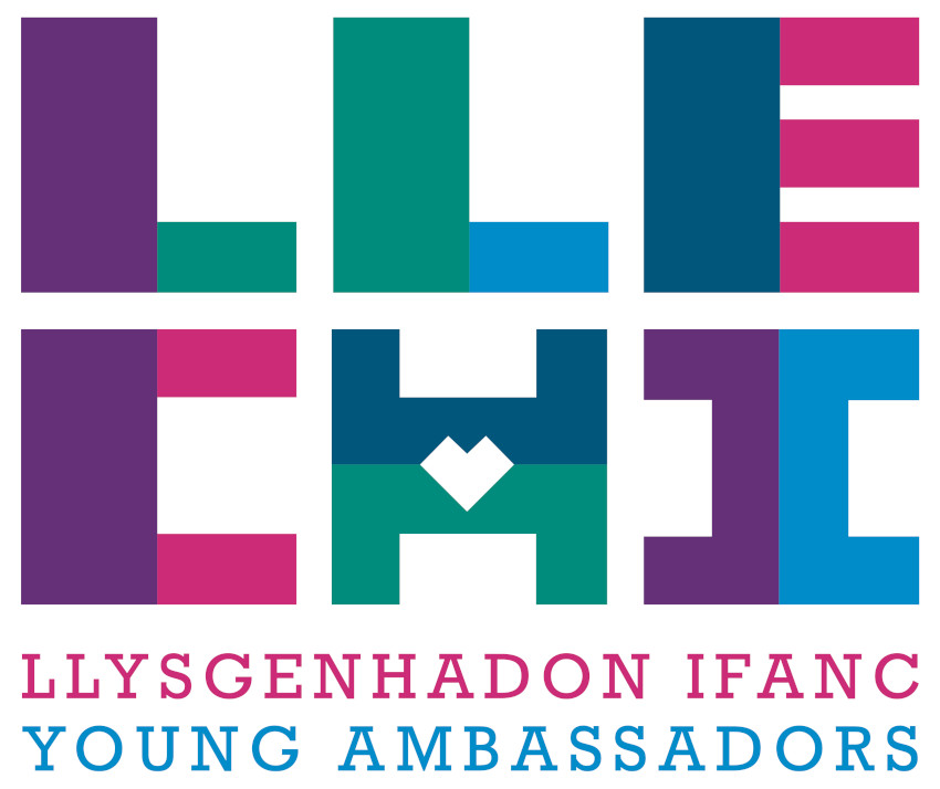 young ambassador