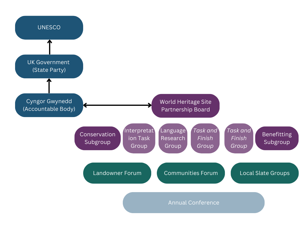 management structure diagram