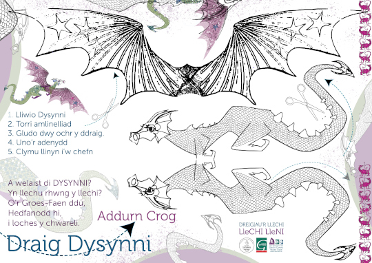 Draig Dysynni